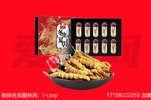 垦利区回收虫草.jpg